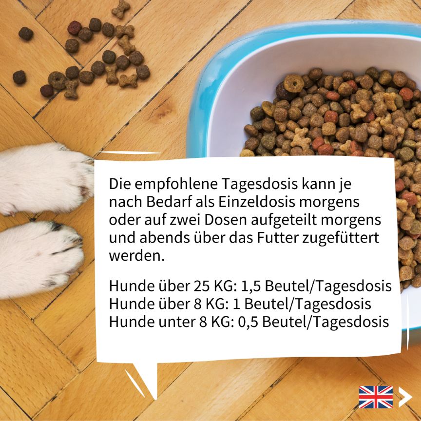 Fütterungsempfehlung Strotonin für gestresste, ängstliche und nervöse Hunde. Feeding recommendation Strotonin for stressed, anxious and nervous dogs.