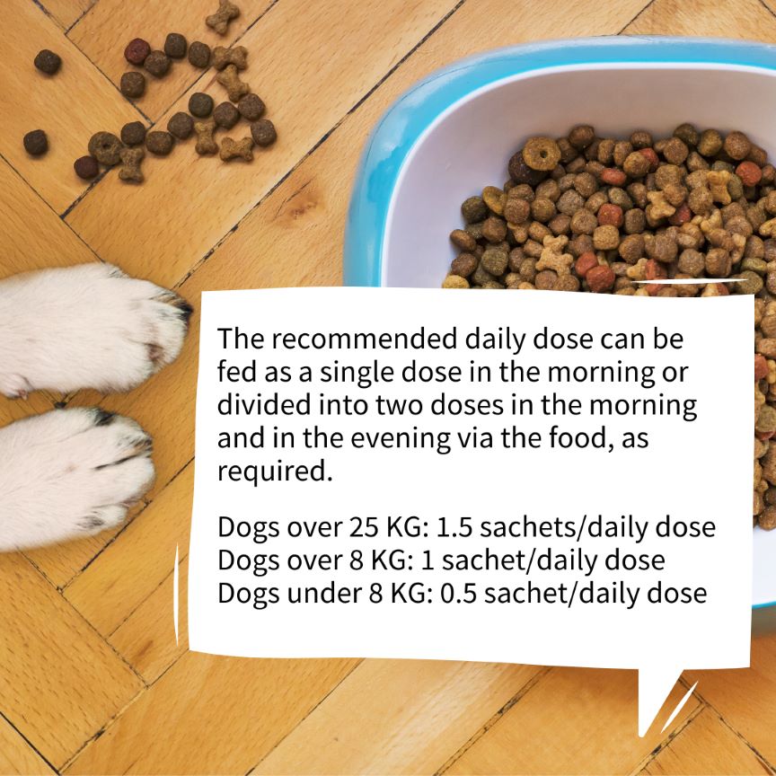 Fütterungsempfehlung Strotonin für gestresste, ängstliche und nervöse Hunde. Feeding recommendation Strotonin for stressed, anxious and nervous dogs.